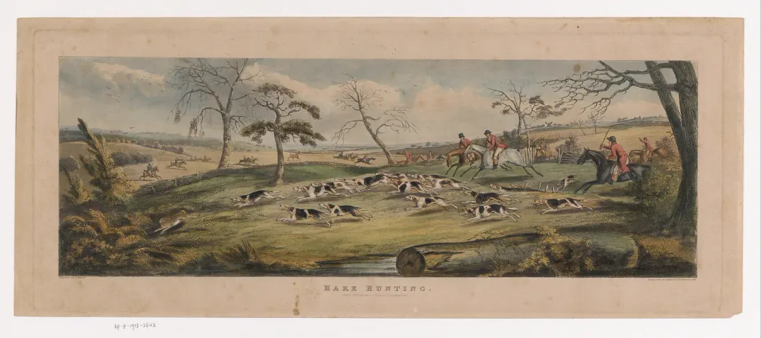 Antique print of a hare hunt with a pack of hounds in open country