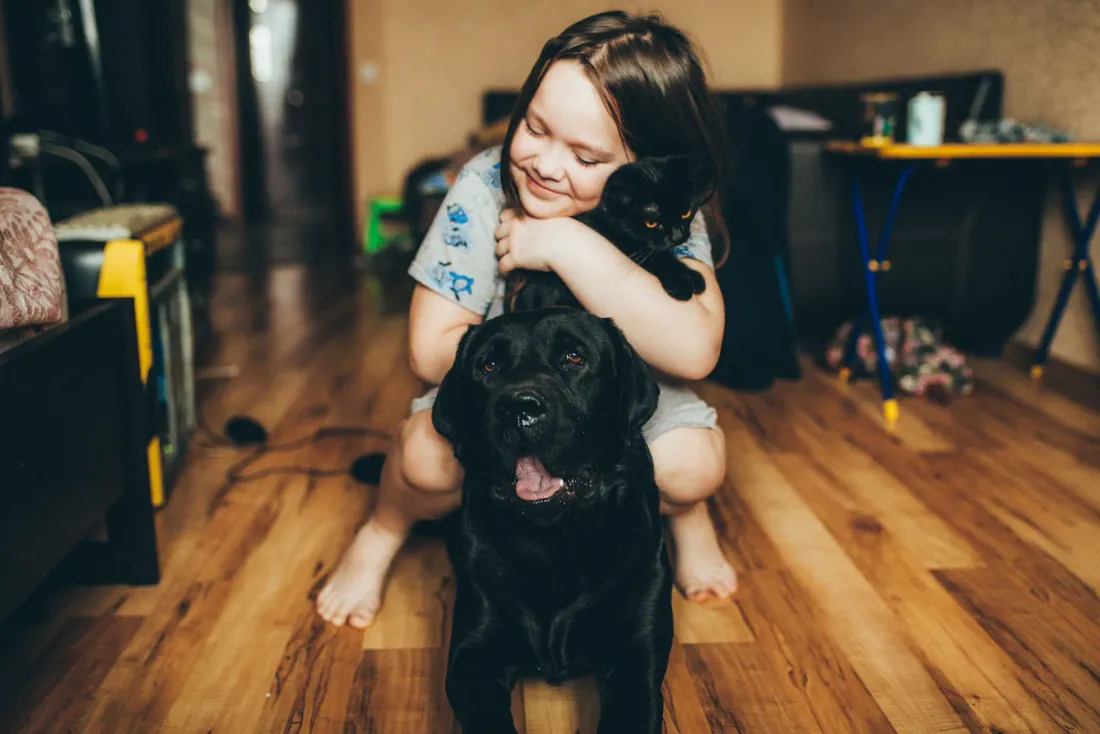 Girl hugging a black Labrador on a wooden floor indoors