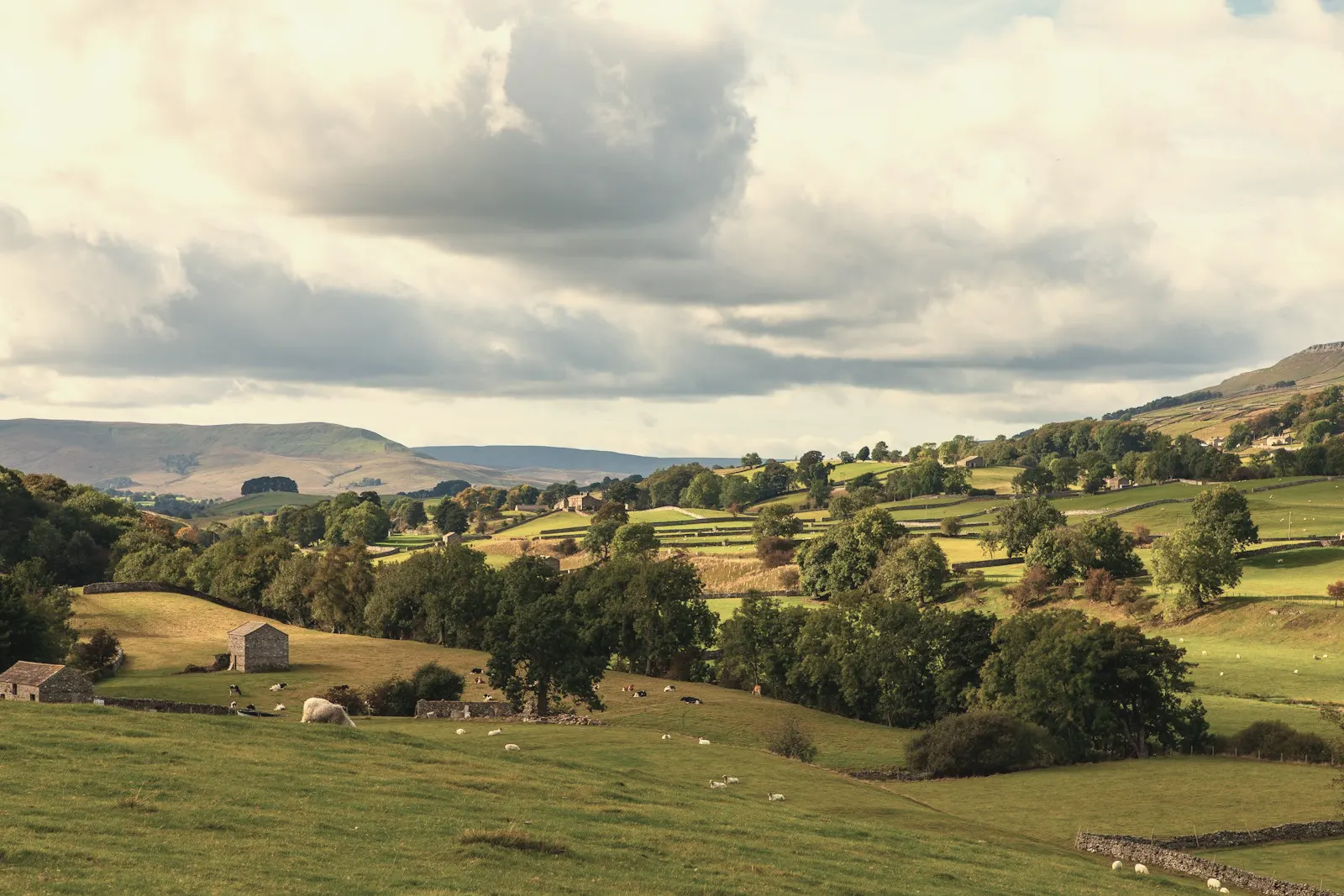 Early Modern Era landscape